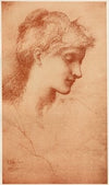 Beauty (1898-1899)