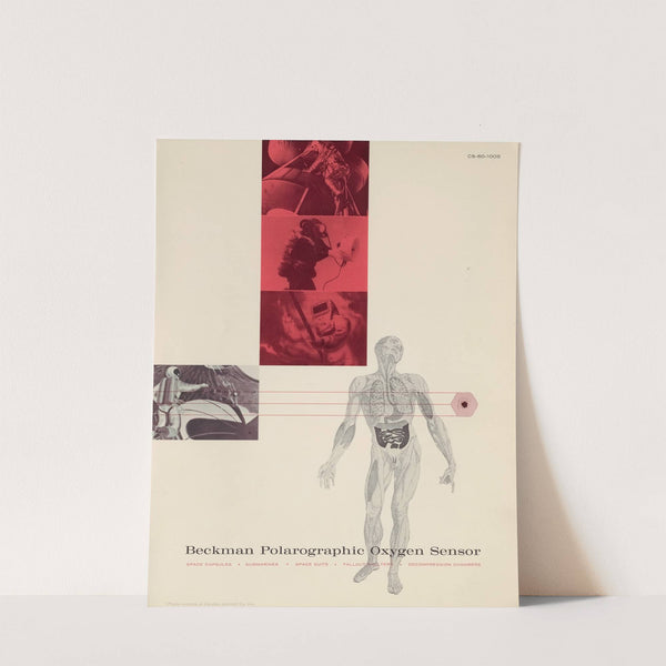 Beckman Polarographic Oxygen Sensor by Beckman Instruments