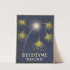 Bécozyme (1910-1950) by Roche