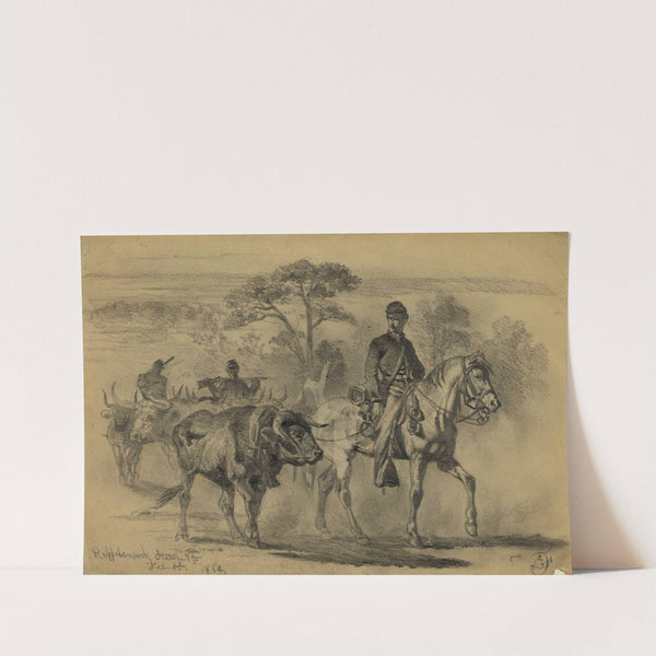 Beef for the army-on the march by Edwin Forbes