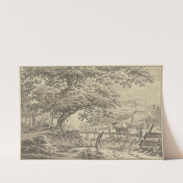Bei einer großen Eiche aufgehängte Wäsche, rechts hinter einem Zaune zwei Kühe by Jacob Cats
