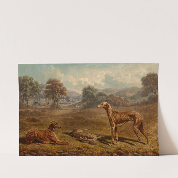 Belle of the Village and Belle of the Cottage by Joseph Lee