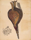 Bellows