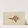 Bellows (1935-1942) by Benjamin Resnick