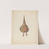 Bellows by Benjamin Resnick