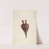 Bellows by Katharine Merrill