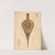 Bellows by American 20th Century