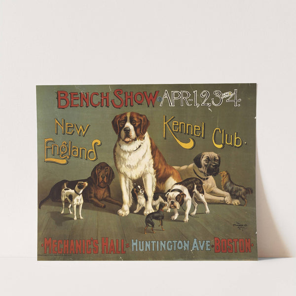 Bench show. New England Kennel Club by Anonymous