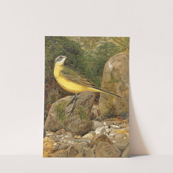 Bergeronnette by Léo-Paul Robert