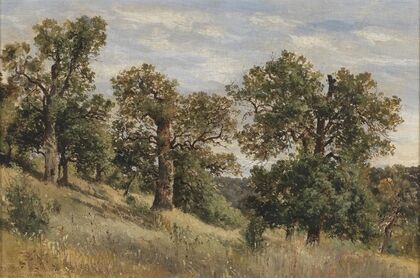 Berghang mit Baum