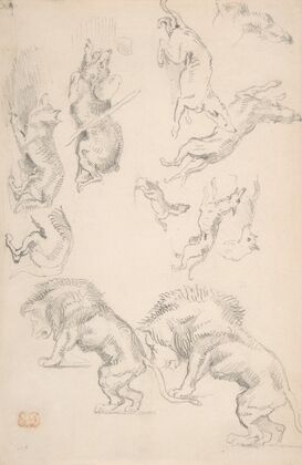Studies of Animals (1810–63)