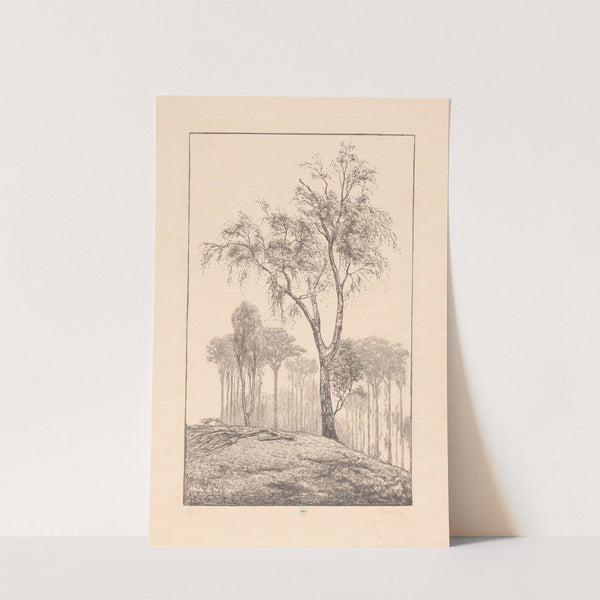 Berken op heuvel (1930) by Simon Moulijn