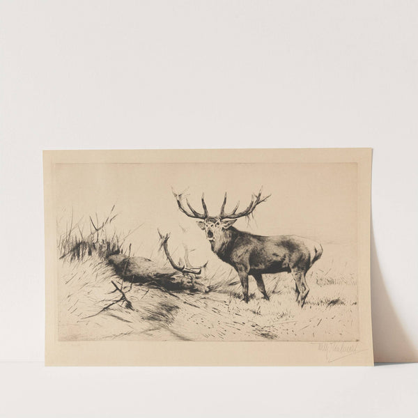 Besiegt (Rothirsche). (1920) by Wilhelm Kuhnert