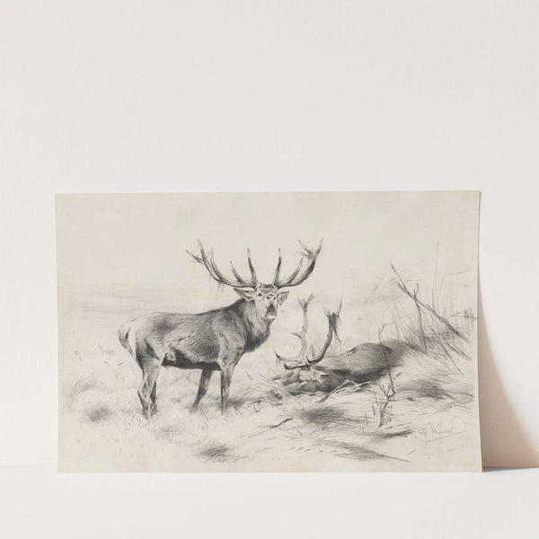 Besiegt (Rothirsche) (1920) by Wilhelm Kuhnert