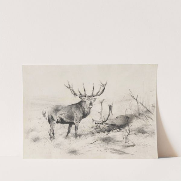 Besiegt (Rothirsche) (1920) by Wilhelm Kuhnert