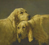 Best Friends