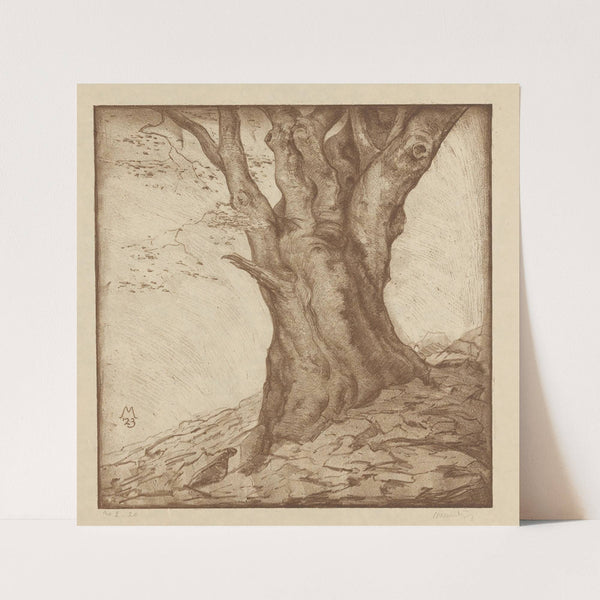 Beukenstam (1923) by Simon Moulijn