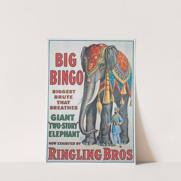 Big Bingo by Anonymous