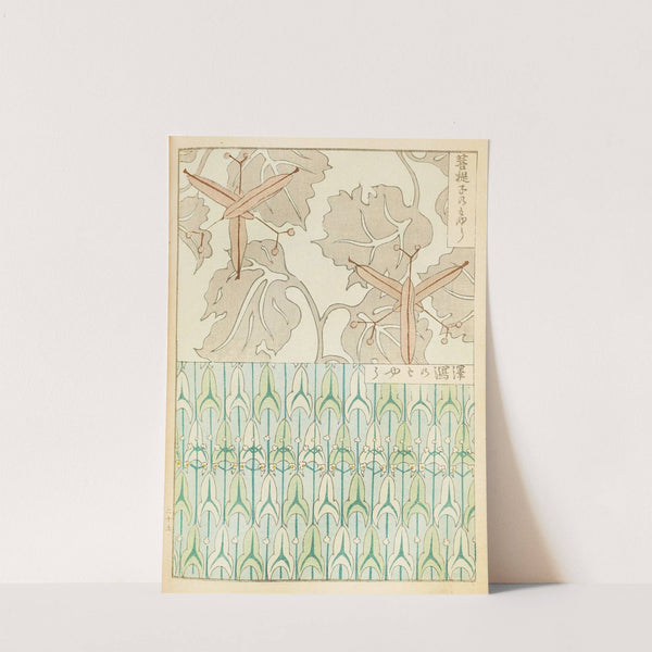 Bijutsukai Pl.125 (1901) by Furuya Kōrin