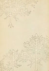 Bijutsukai Pl.131 (1901)