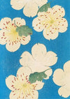 Bijutsukai Pl.166 (1901)