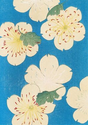 Bijutsukai Pl.166 (1901)