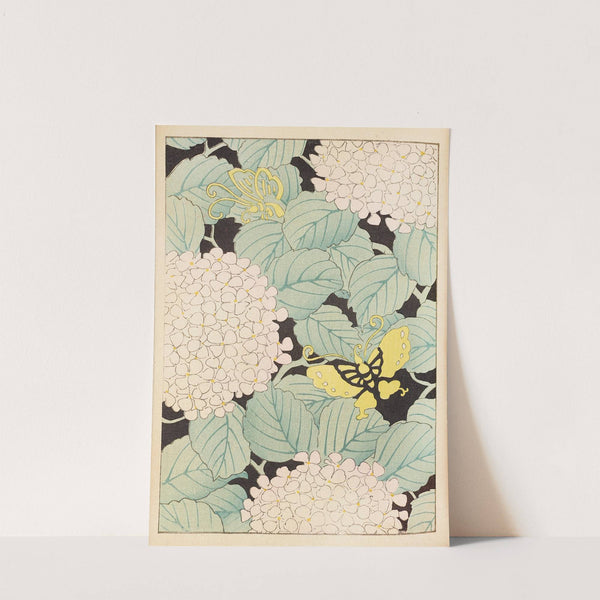 Bijutsukai Pl.169 (1901) by Furuya Kōrin