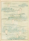 Bijutsukai Pl.181 (1901)