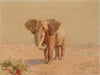 Eléphant