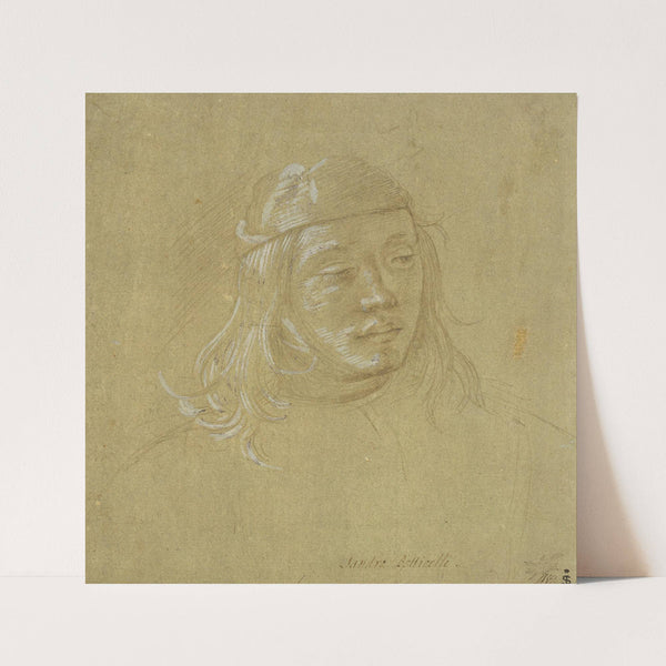 Bildnisstudie eines jungen Mannes (ca. 1490 – 1495) by Filippino Lippi