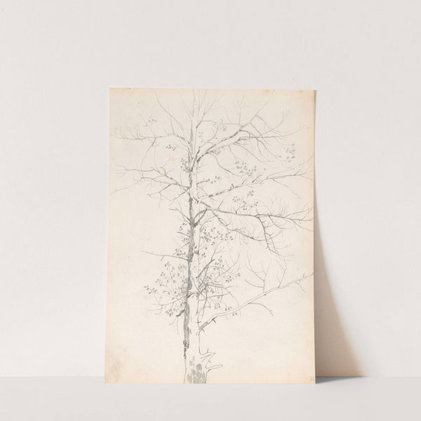 Birch (1881) by Jozef Brandt