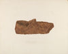 Birch Bark Shoe