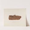 Birch Bark Shoe by Eugene C. Miller