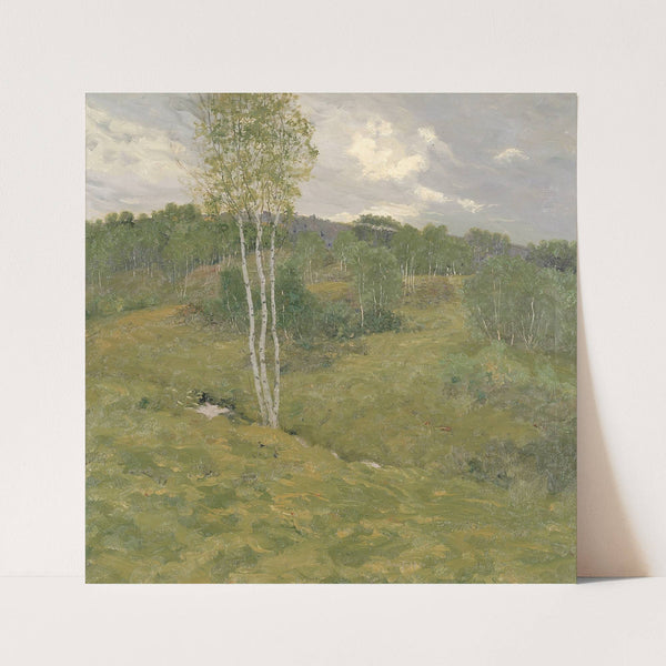 Birch-Clad Hills (ca. 1908) by Ben Foster