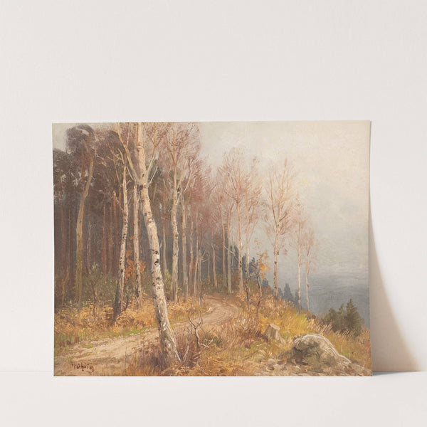 Birch forest by Hugo Mühlig