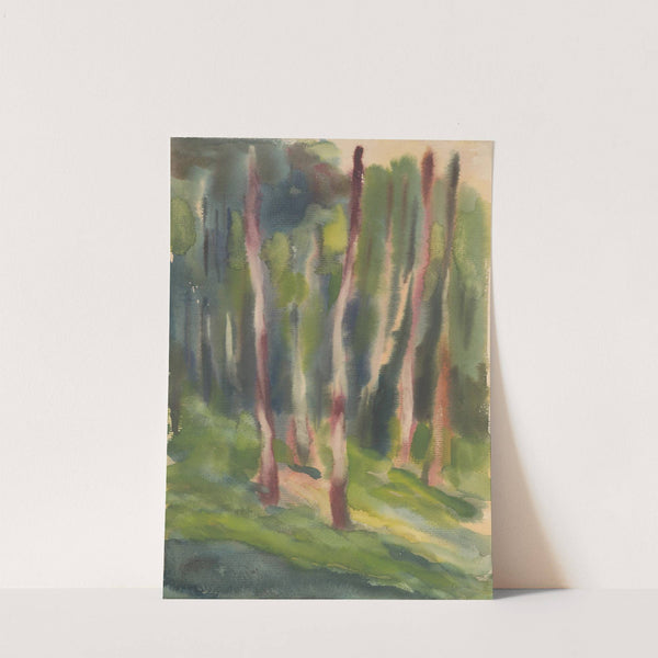 Birch Grove by Zolo Palugyay