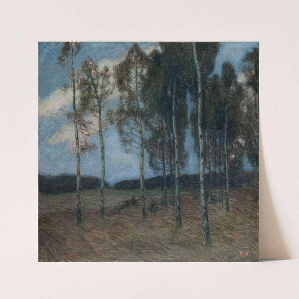 Birch Grove after Sunset (before 1900) by Ester Almqvist