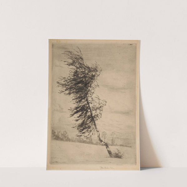 Birch in the wind (1901) by Józef Pankiewicz