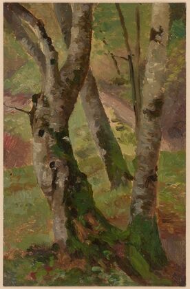 Birch Tree Trunks (1892-1910)