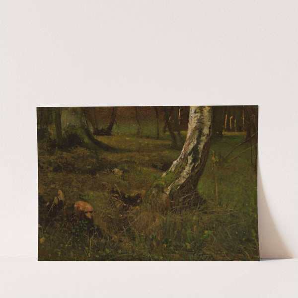 Birch trunk by Curt Agthe