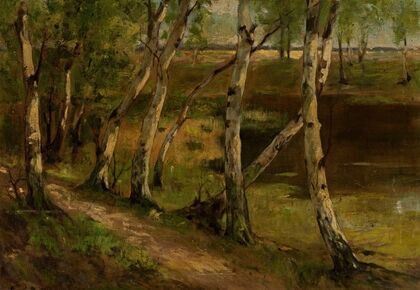 Birches at waterside