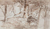 Birches on the Mararoa