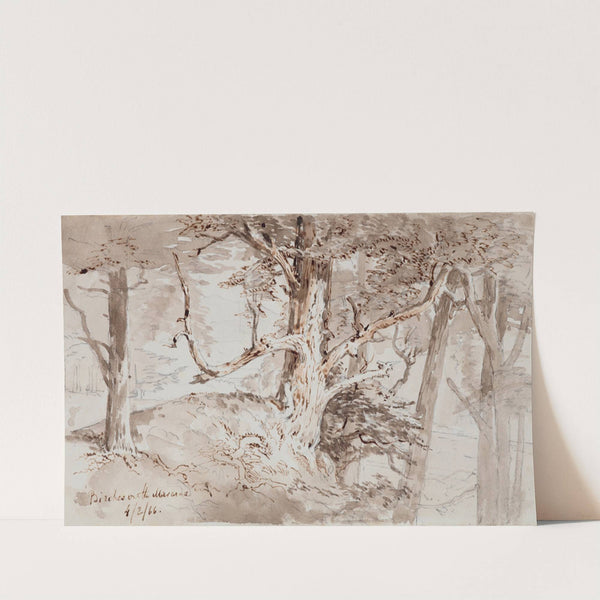 Birches on the Mararoa by Nicholas Chevalier