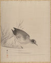 Bird at the Water’s Edge (1887–92)