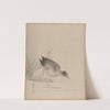 Bird at the Water’s Edge (1887–92) by Kawabata Gyokushō