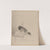 Bird at the Water’s Edge (1887–92) by Kawabata Gyokushō
