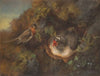 Bird feeding