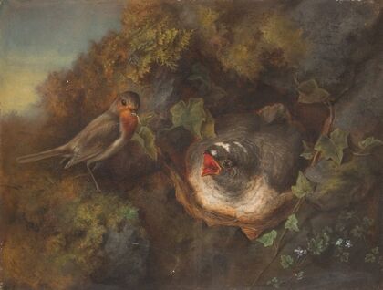 Bird feeding