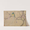 Bird with Plum Blossoms by Zhang Ruoai