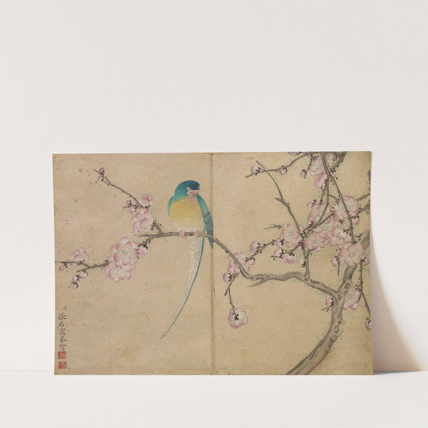 Bird with Plum Blossoms by Zhang Ruoai